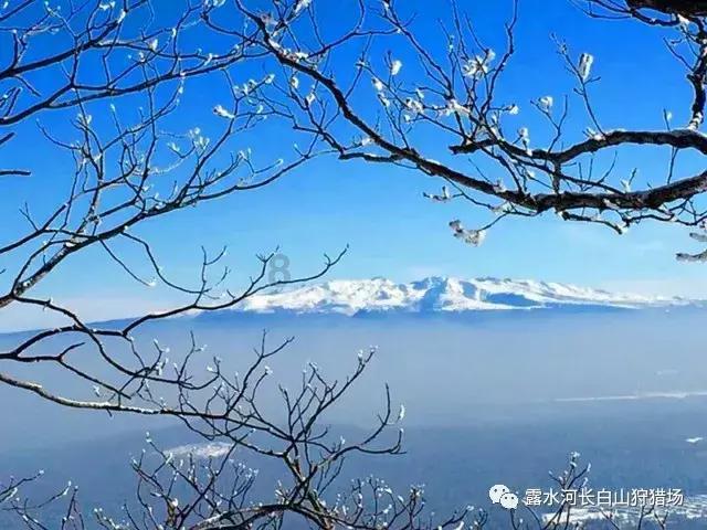 星球守卫战
