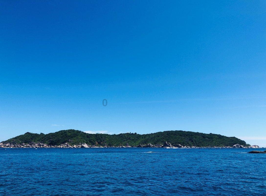 逃离变色龙森林