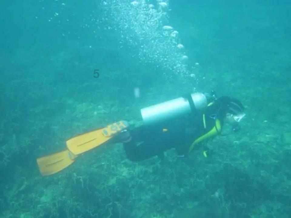 洛阳首次发现魏晋时期高等级家族墓地