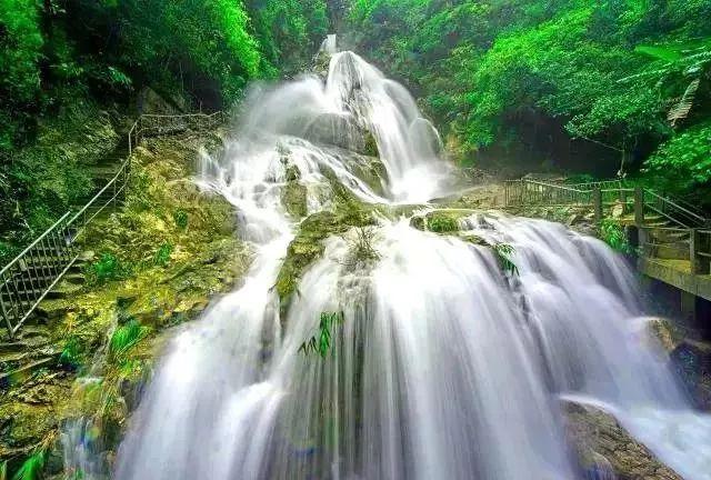 韭菜肉海米饺子馅的做法游戏画面